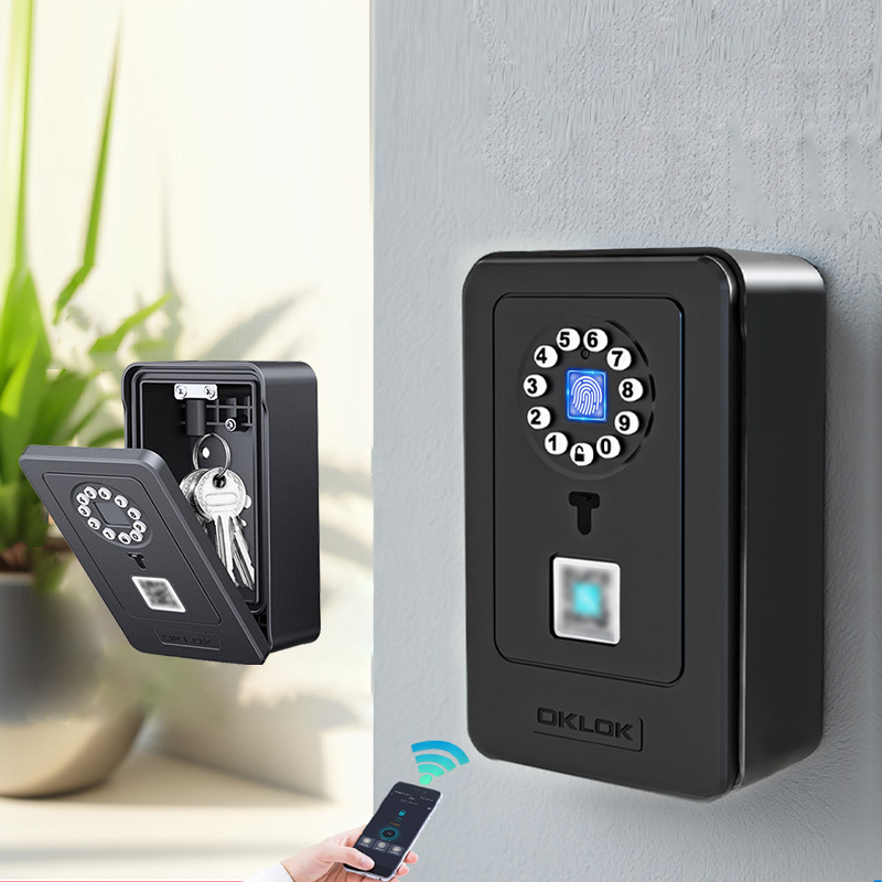 Home Security Doors - Caja de seguridad inteligente con cerradura