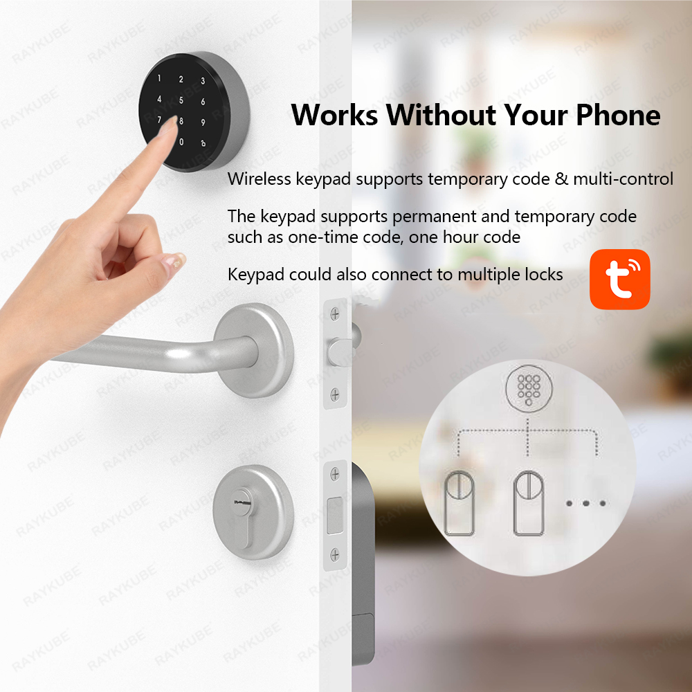 RAYKUBE A1 Pro Tuya BEL juego  - Home Security Keypad reseña y precio