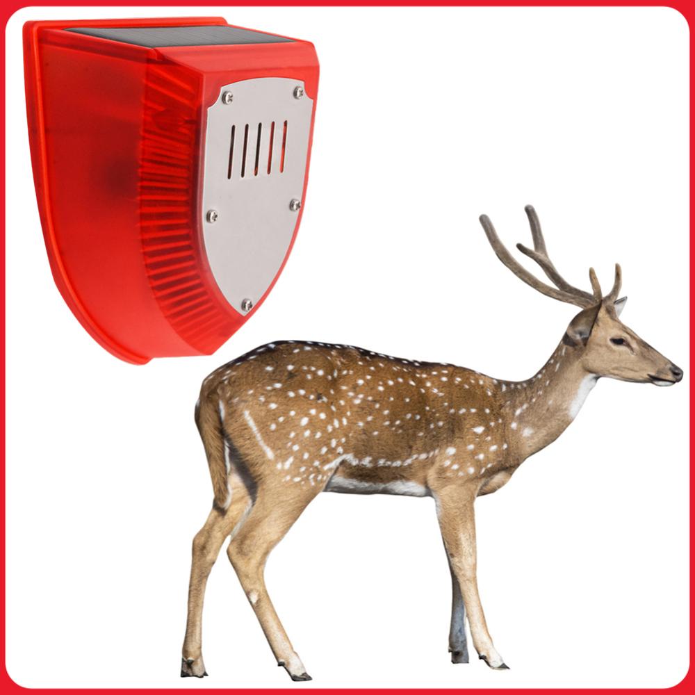 Alarma Solar para Exteriores,  - Barking Dog Alarm reseña y precio