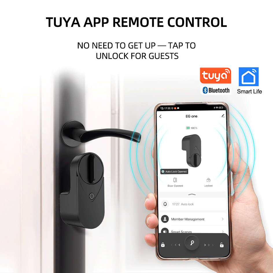Cerradura Inteligente RAYKUBE  - Home Security Keypad reseña y precio