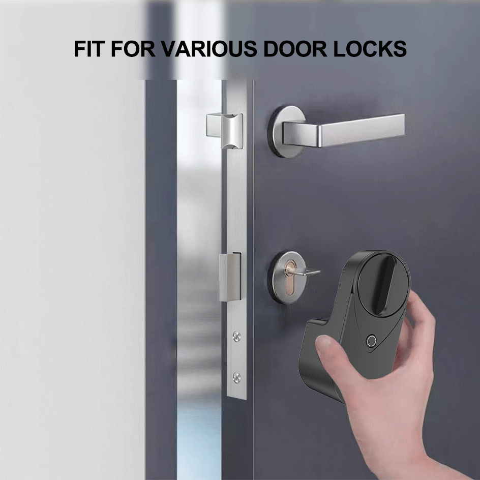 Cerradura Inteligente RAYKUBE  - Home Security Keypad reseña y precio