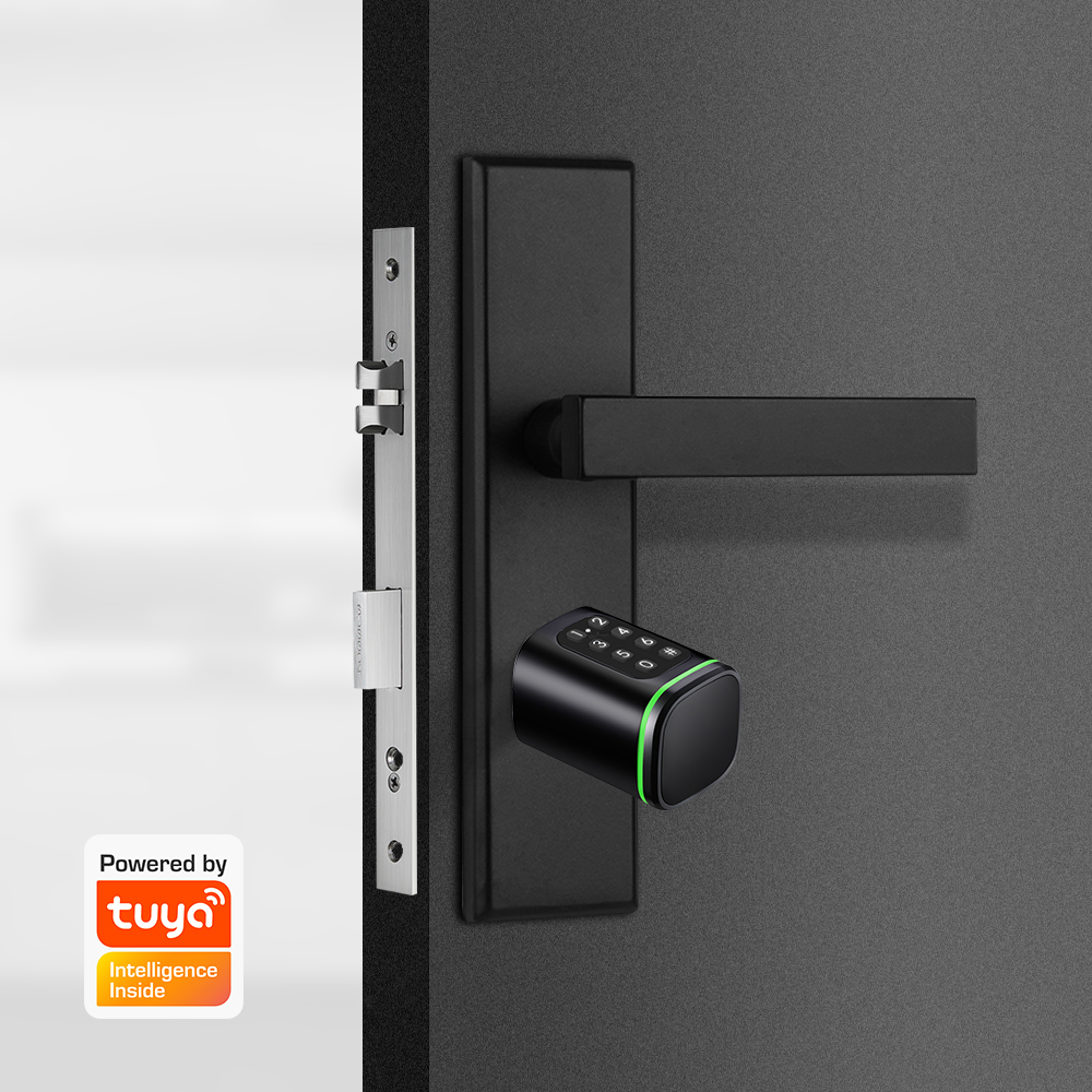 Cerradura de cilindro intelige - Home Security Keypad reseña y precio